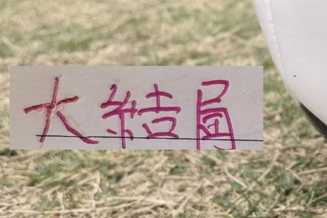 海港引援也基本大結局！新人里面誰才是真正大腿？
