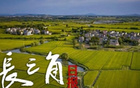 5位奧運冠軍將亮相“吳越杯”揭幕戰